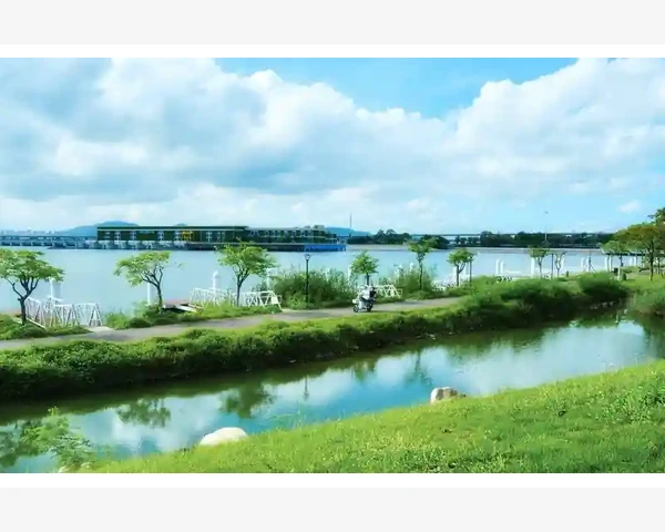 吃绿豆面引发的胃疼失眠