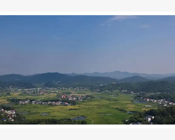 B2B交易摸式企业采购新路径